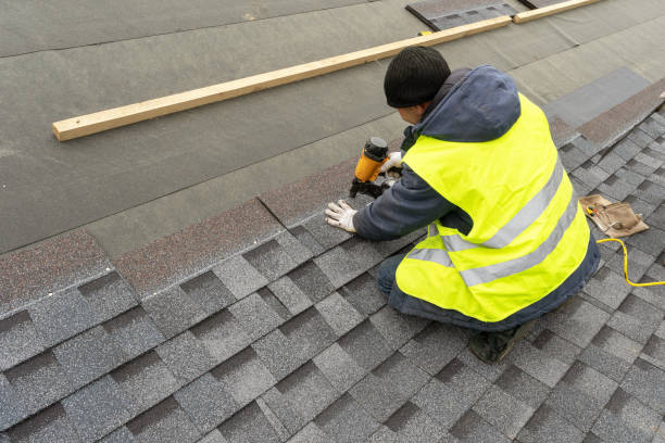 Best Local Roofing Companies  in Potterville, MI