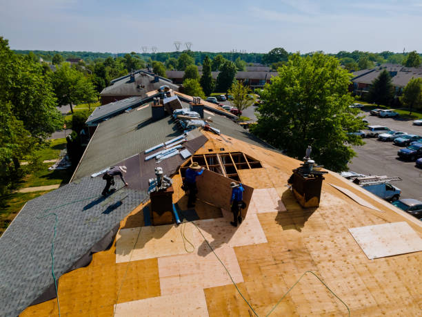 Best Commercial Roofing Services  in Potterville, MI