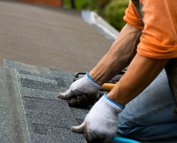 Quick and Trustworthy Emergency Roof Repair Services in Potterville, MI
