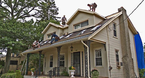 Professional Roofing Contractor in Potterville, MI