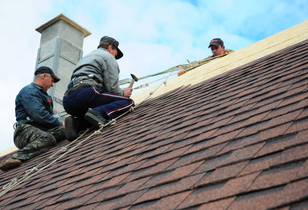 Best Sealant for Roof  in Potterville, MI