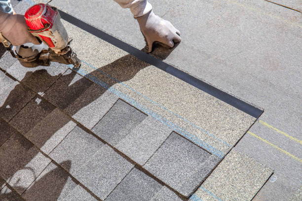 Best Commercial Roofing Services  in Potterville, MI