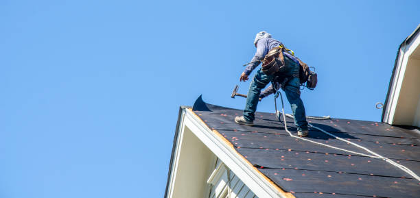 Best Roof Repair Services  in Potterville, MI