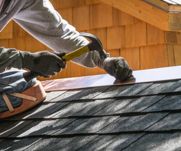Best Shingle Roofing Installation  in Potterville, MI